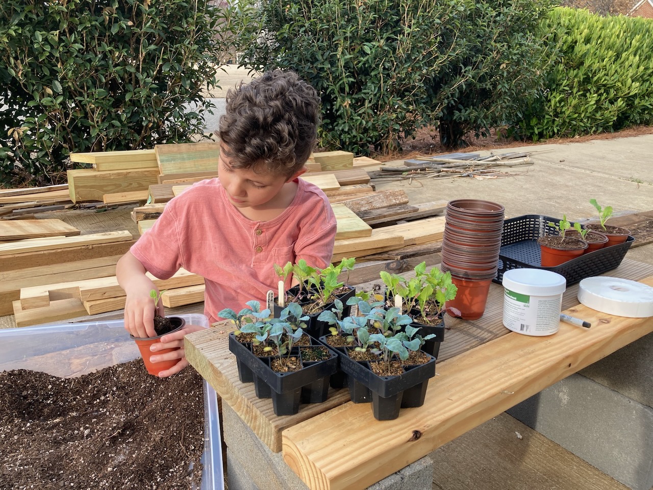 Grant's Mill Nursery